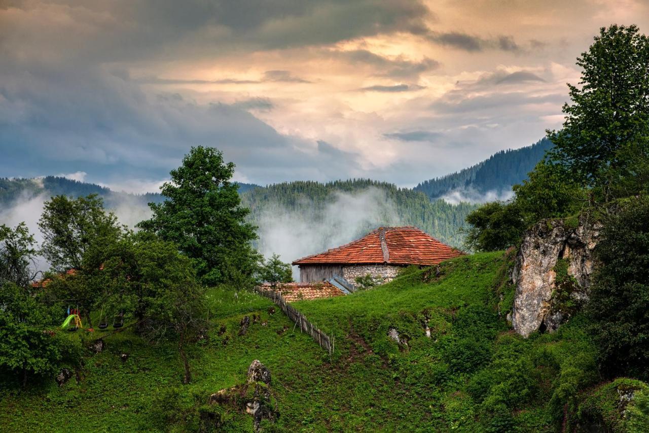 Guest House Panorama เกลา ภายนอก รูปภาพ