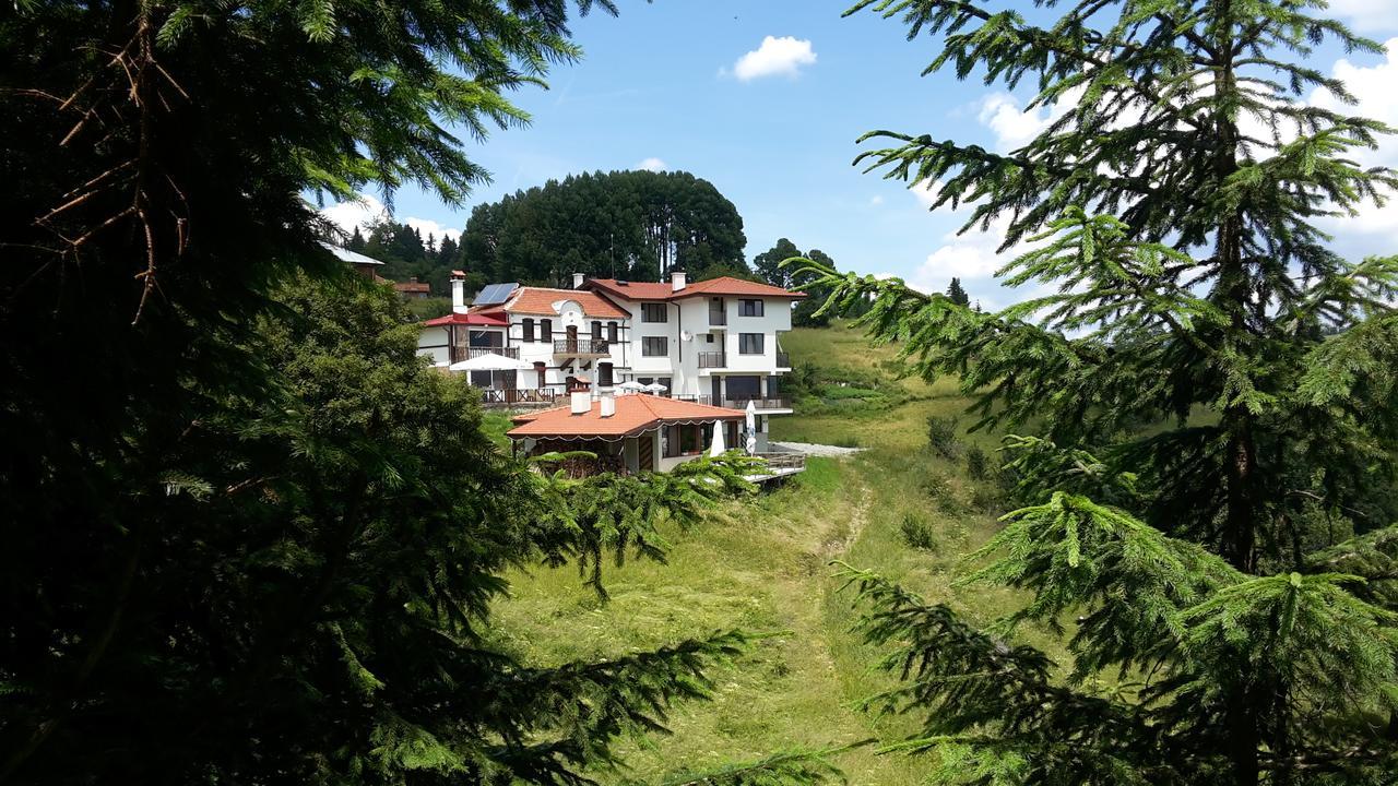 Guest House Panorama เกลา ภายนอก รูปภาพ