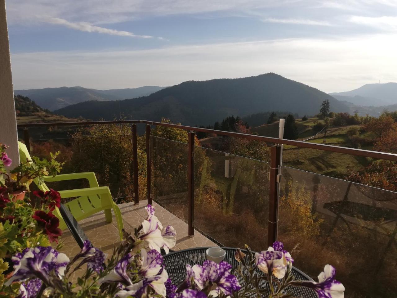Guest House Panorama เกลา ภายนอก รูปภาพ